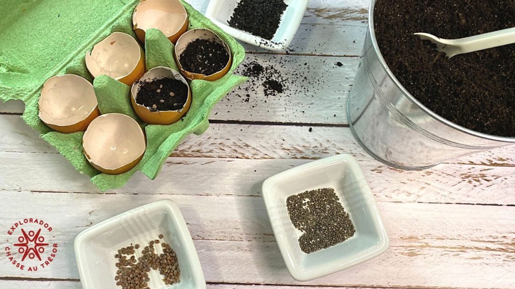 decoration table paques : plantes dans des oeufs