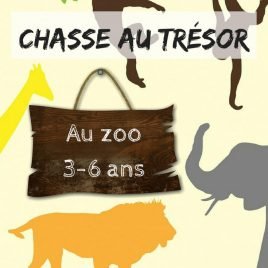 chasse au tresor enfant zoo
