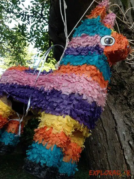 L’attribut alt de cette image est vide, son nom de fichier est pinata-carton-ficelles.jpg.