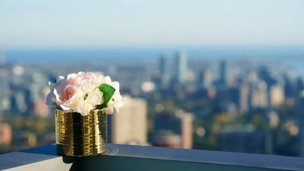 pot de fleurs dans une boite de conserve