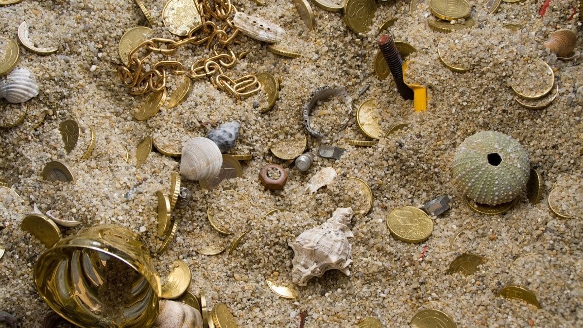 jeu-collecte-coquillage tresors