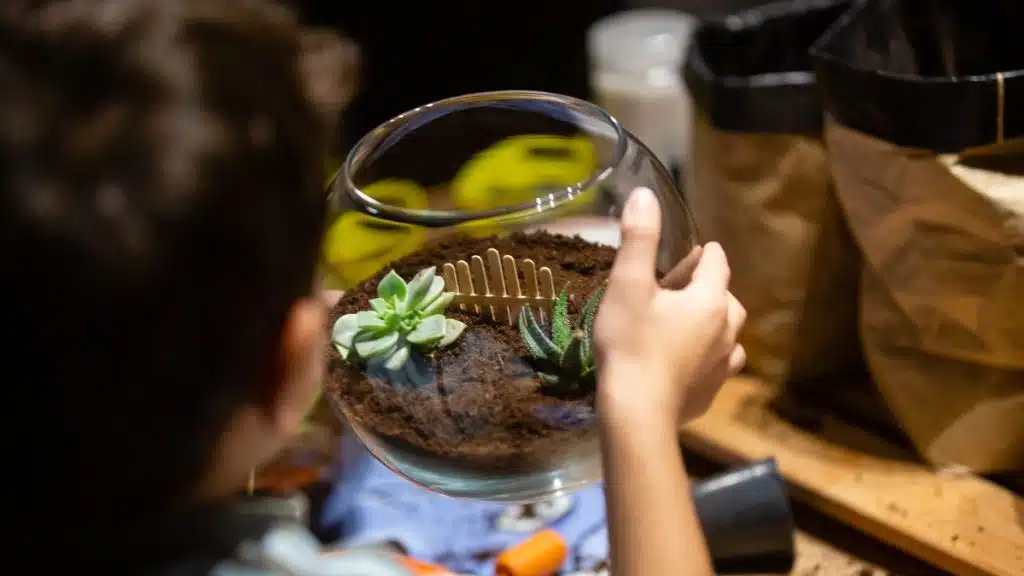 terrarium à faire avec les enfants