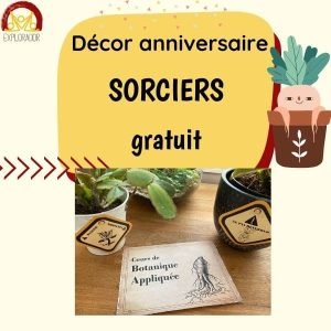 deco anniversaire sorciers botanique
